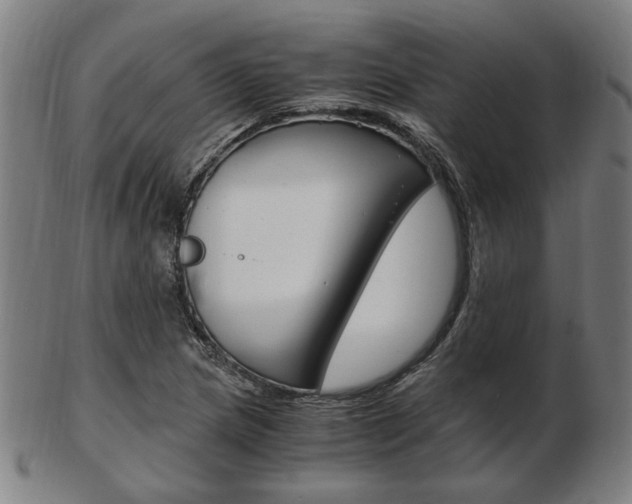 X0000103481217200809120921