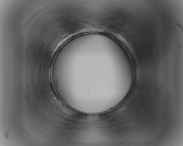 X0000103481220200809120921