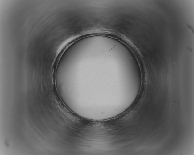 X0000103481222200809120921