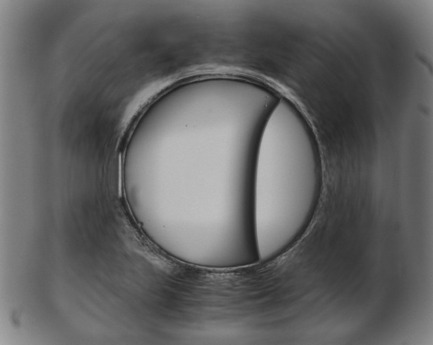 X0000103481223200809120921