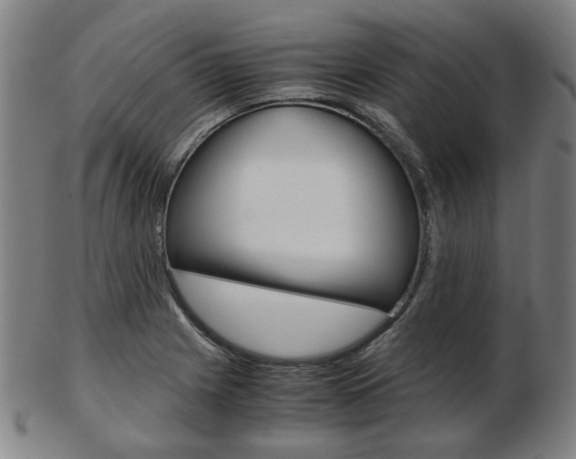 X0000103481225200809120921