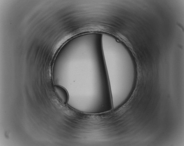 X0000103481226200809120921