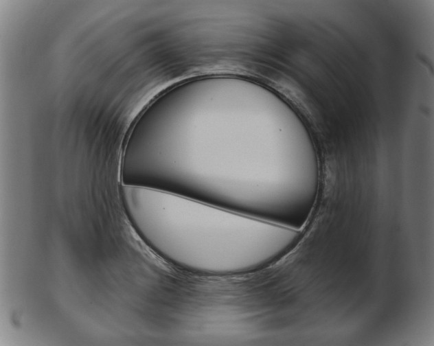 X0000103481228200809120921