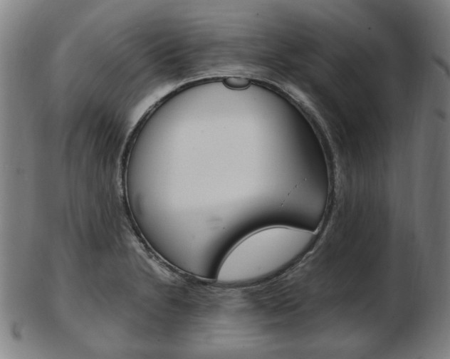 X0000103481230200809120921