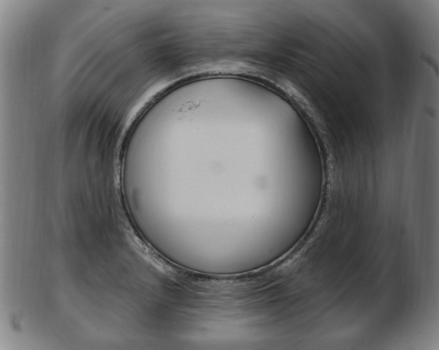 X0000103481232200809120921