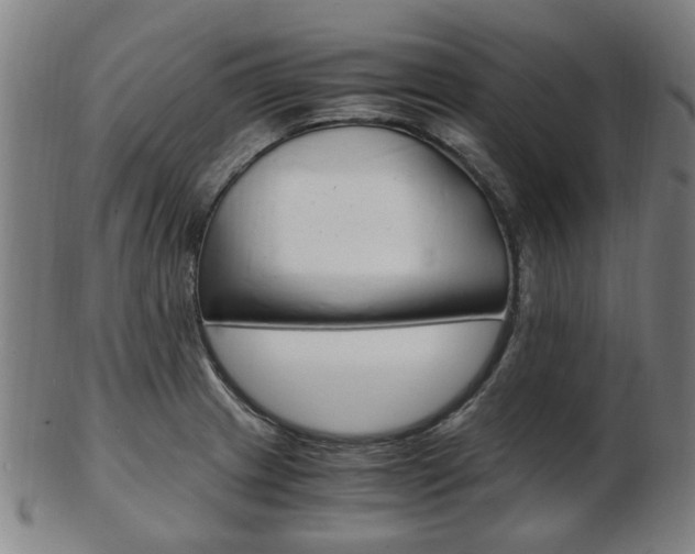 X0000103481233200809120921