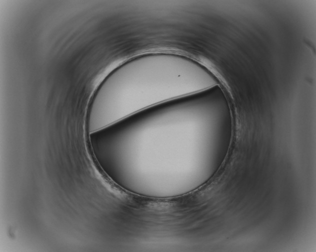 X0000103481237200809120921