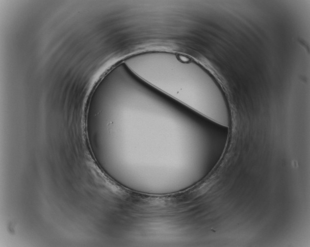 X0000103481240200809120921