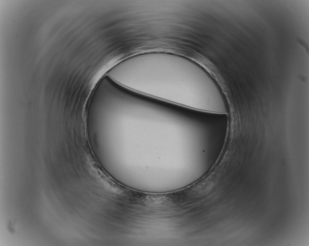 X0000103481242200809120921