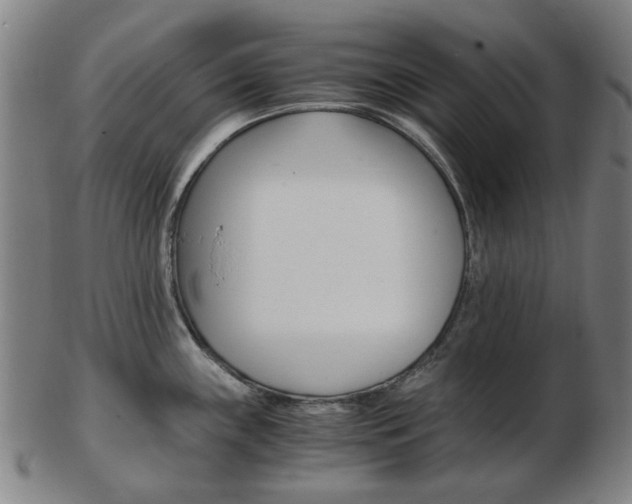 X0000103481243200809120921