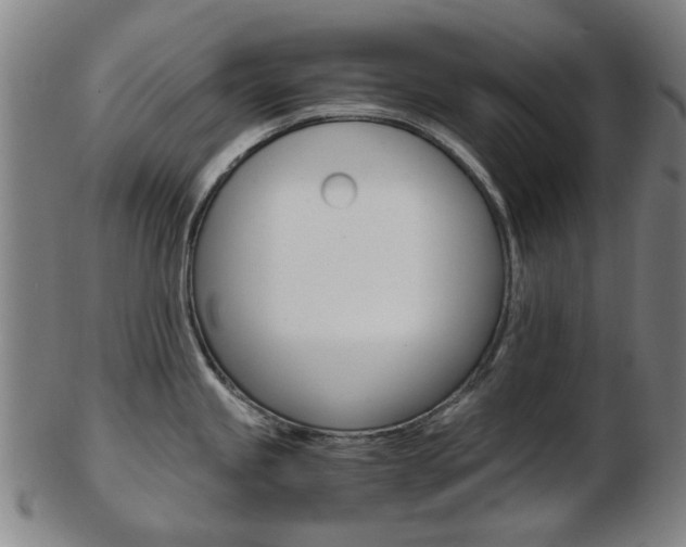 X0000103481245200809120921
