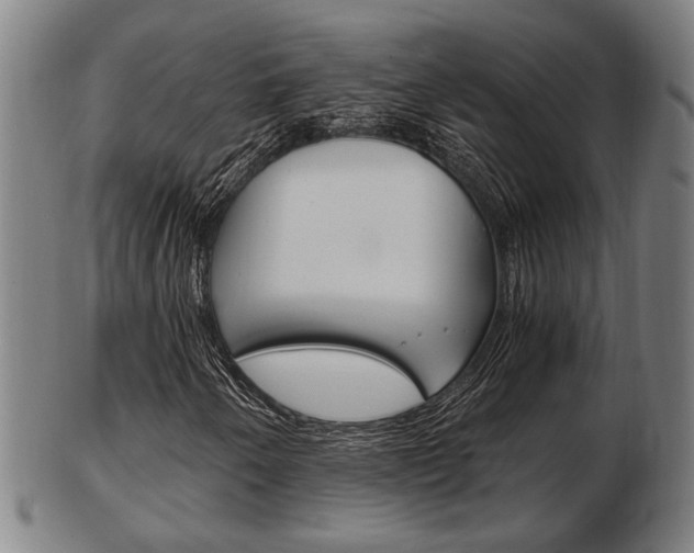 X0000103481250200809120920