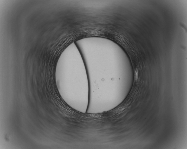 X0000103481251200809120920