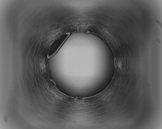 X0000103481252200809120920