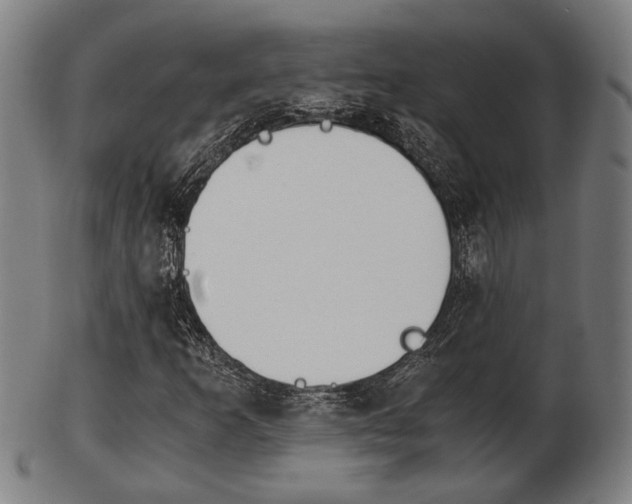 X0000103481253200809120920