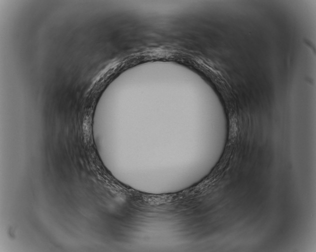 X0000103481254200809120920