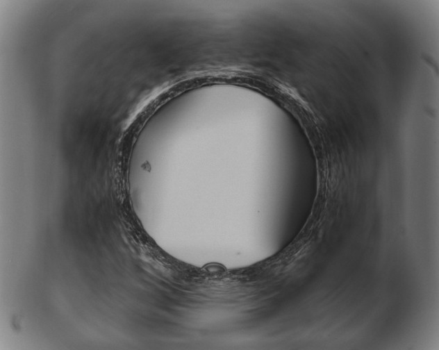 X0000103481256200809120920