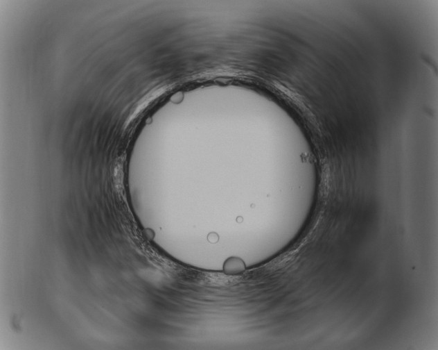 X0000103481258200809120920