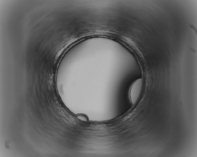 X0000103481260200809120920