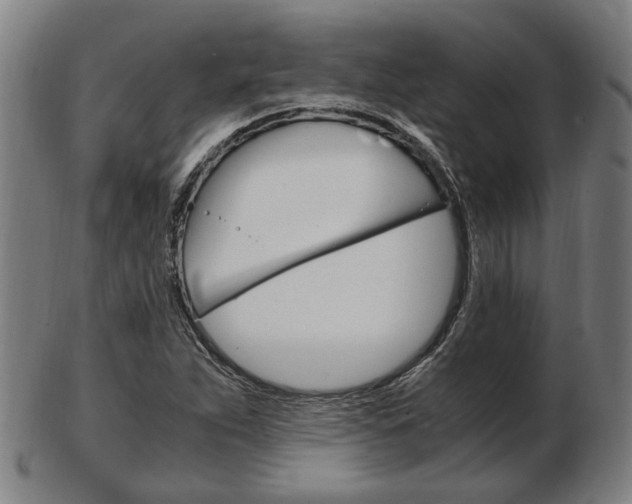 X0000103481263200809120920