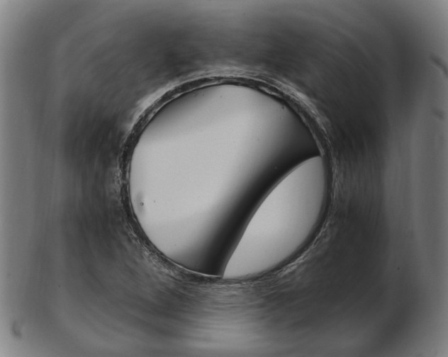 X0000103481264200809120920