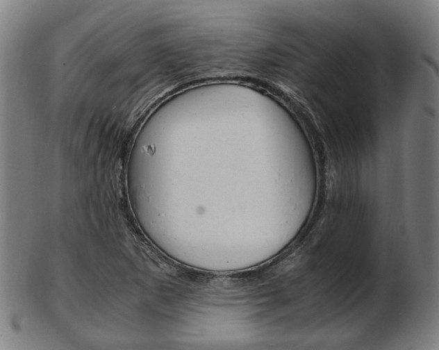 X0000103481265200809120920