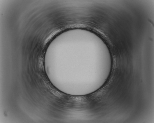 X0000103481266200809120920