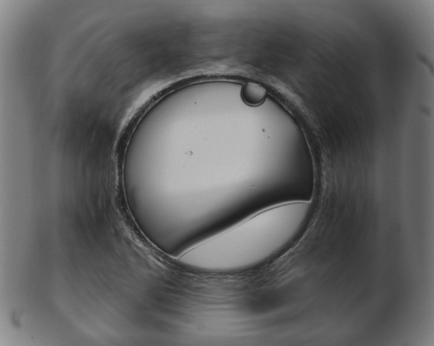 X0000103481270200809120920