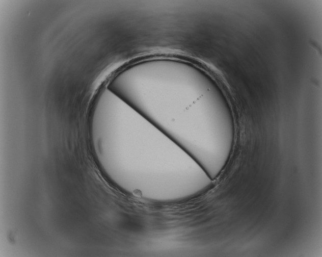 X0000103481271200809120920