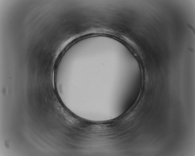 X0000103481272200809120920