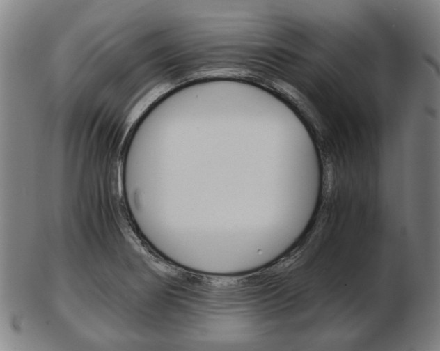 X0000103481274200809120920