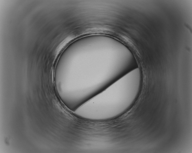 X0000103481275200809120920