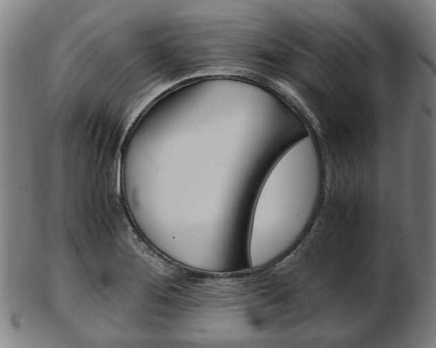X0000103481276200809120920