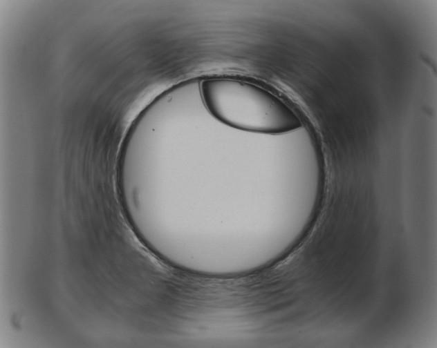 X0000103481277200809120920