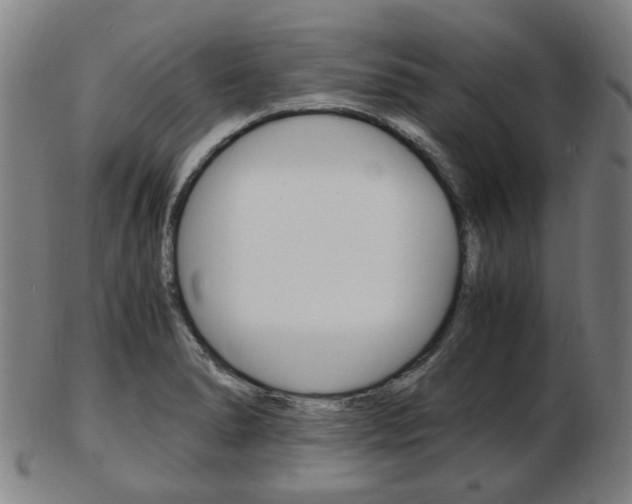 X0000103481278200809120920