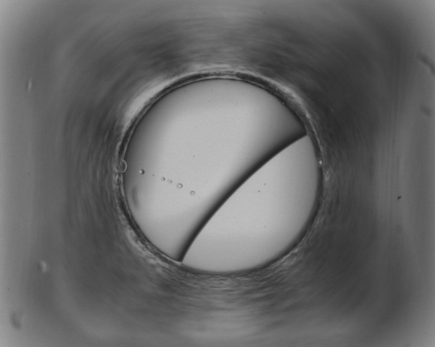 X0000103481279200809120920