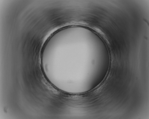 X0000103481280200809120920