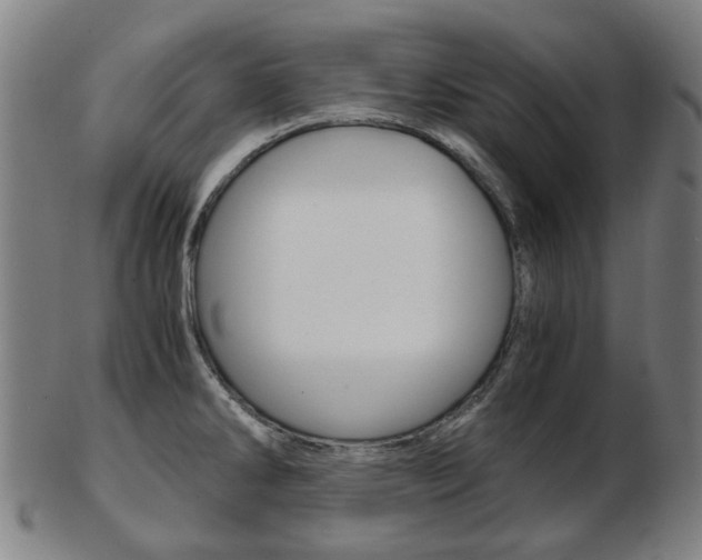 X0000103481286200809120920