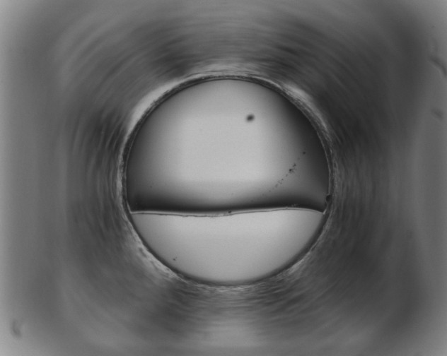 X0000103481288200809120920