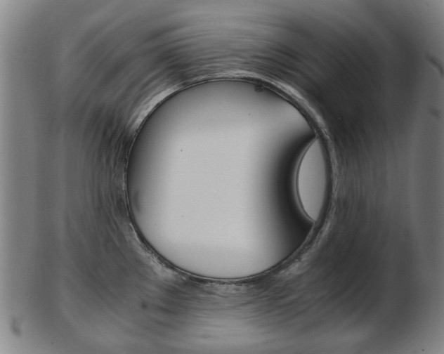 X0000103481289200809120920