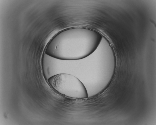 X0000103481291200809120920