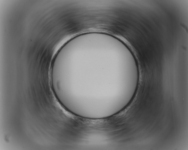 X0000103481294200809120920
