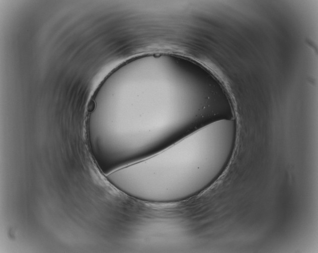 X0000103481296200809120920