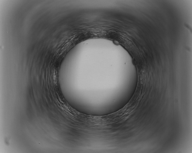 X0000103481298200809120919