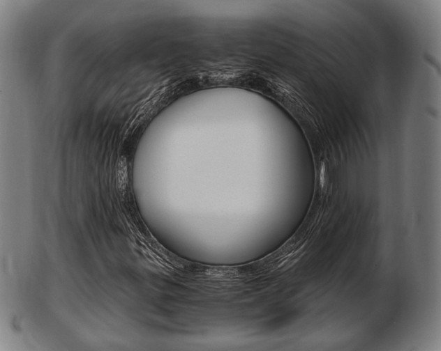 X0000103481299200809120919