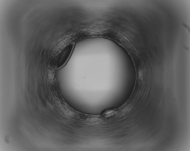 X0000103481300200809120919