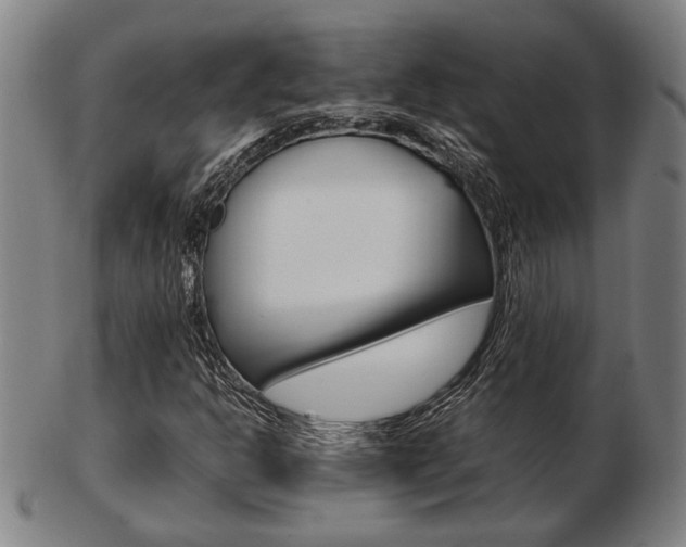X0000103481302200809120919