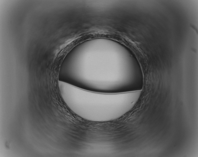X0000103481303200809120919