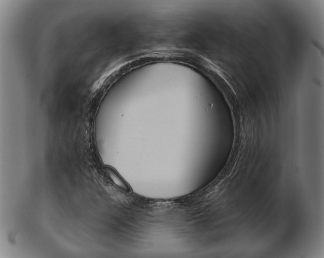 X0000103481304200809120919