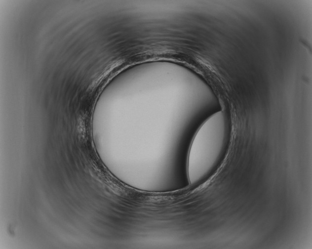 X0000103481305200809120919